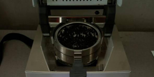 種子1
